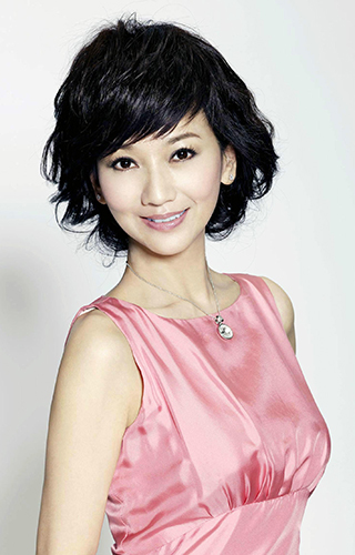 趙雅芝的經紀公司，請趙雅芝做代言的價格